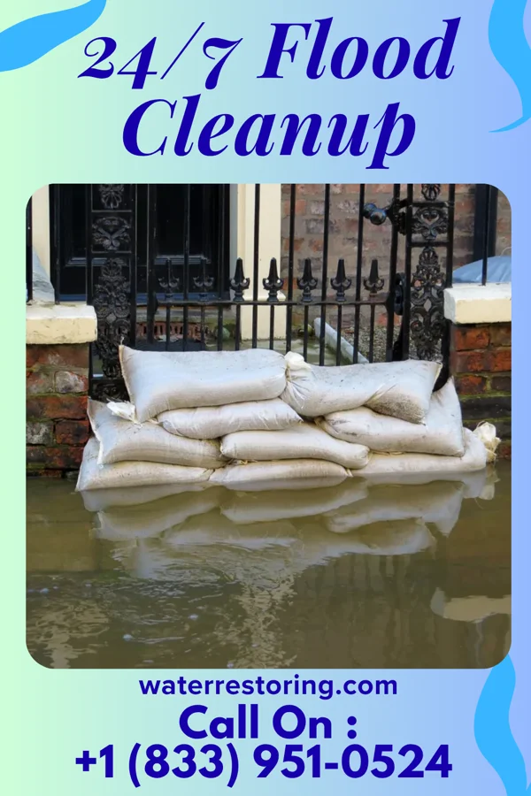24/7 Flood Cleanup in Washington, NE