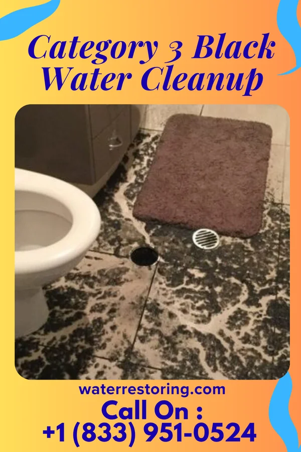 Category 3 Black Water Cleanup in Washington, NE
