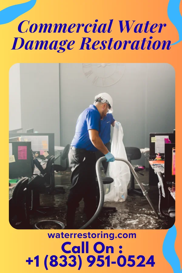Commercial Water Damage Restoration in Washington, NE