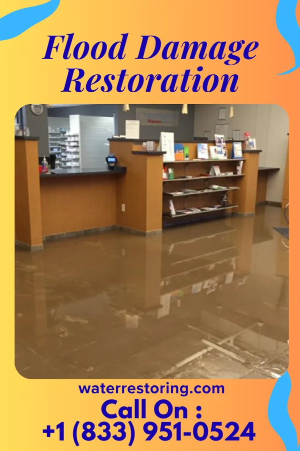 Flood Damage Restoration in Washington, NE