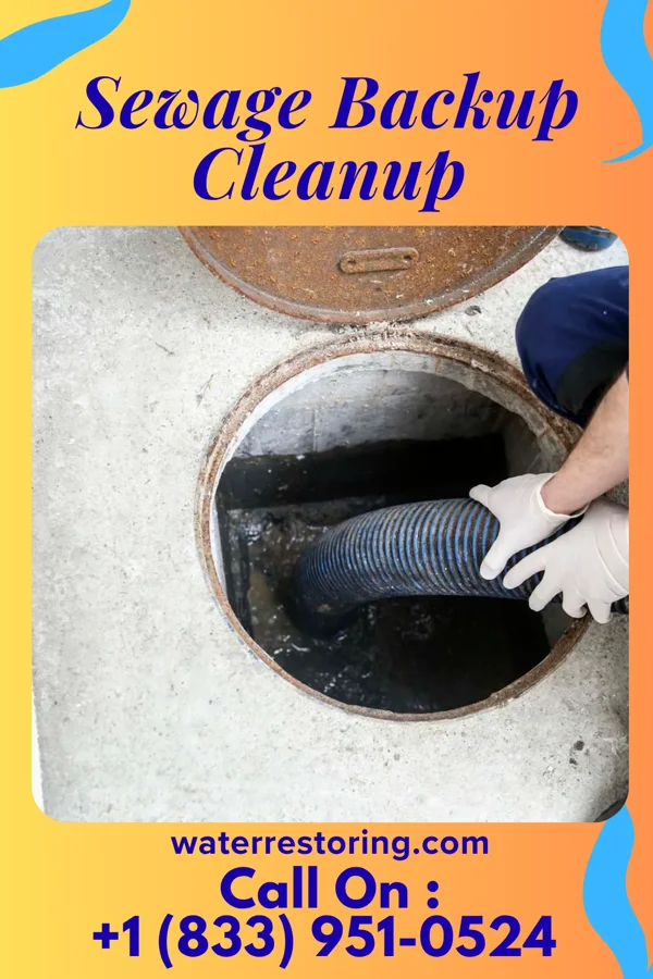 Sewage Backup Cleanup in Washington, NE