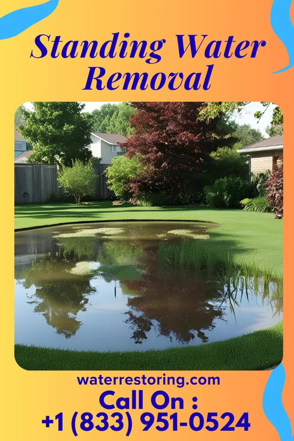 Standing Water Removal in Washington, NE